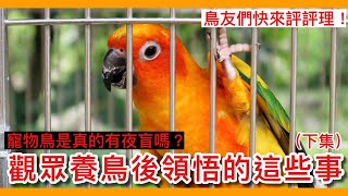 評評理？觀眾們養鳥「後」才領悟的這些事！（下集）【鸚鵡小木屋】【新手鳥知識】