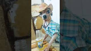 Cute Dog drinking #148