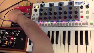 Timbre Wolf Unison Stacking \u0026 Analog wave Sequencing