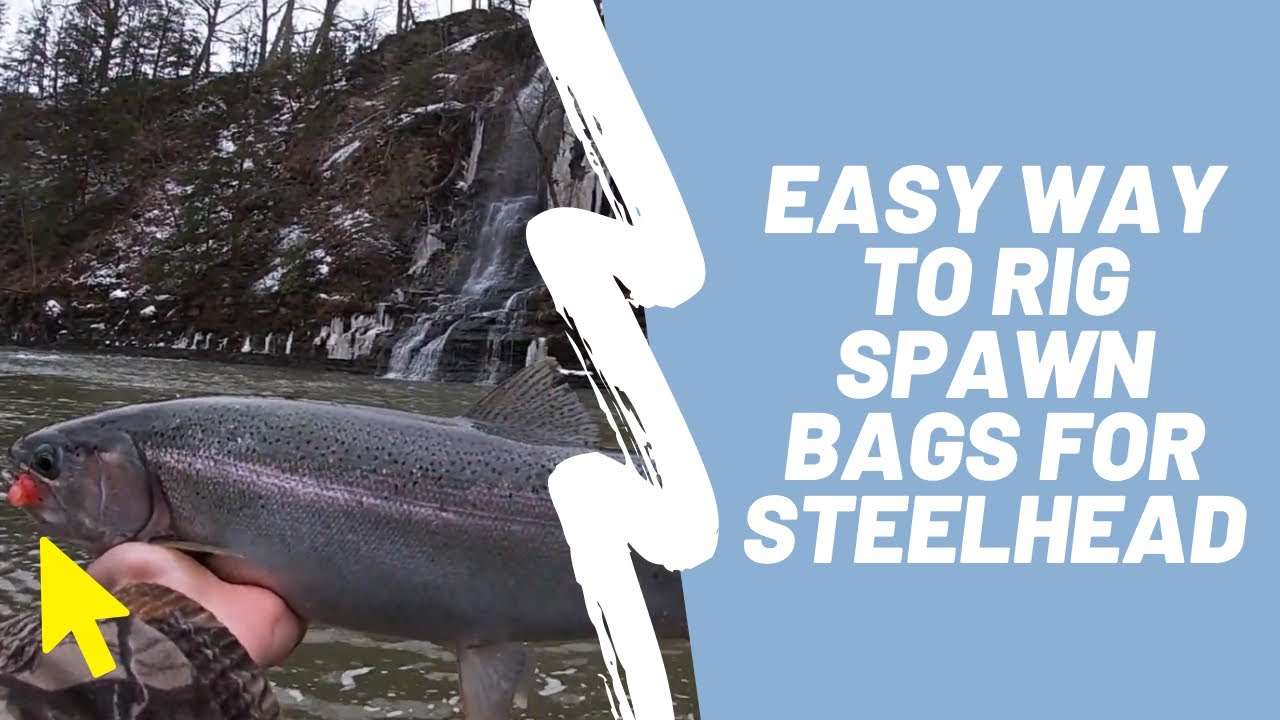 Fishing With Spawn Bags: Lake Erie Tributary Steelhead (plus A How To ...