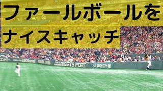 ファールボールを直接キャッチするお客さんが拍手を浴びる笑 2022.7.16