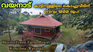 Blooms Green Resort Wayanad | Budget Resort in Wayanad | Blooms Wayanad Resort, Kenichira