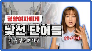 평양여자가 한국에 와서 들었던 신기한 단어 TOP3