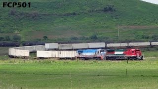 Ferromex: Varios en Jocotán y Primavera Jalisco - Vía T Junio y Julio 2014.