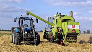 ★Żniwa 2015-Claas Mercator 75 w akcji★Pszenżyto★Wielkopolska★