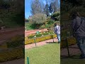 ROSE GARDEN OOTY TAMILNADU BEAUTIFULL PLACE