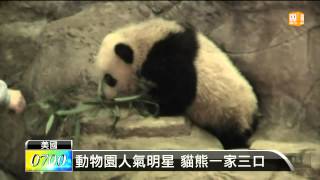 【2014.01.12】華府貓熊寶寶 少數貴賓先睹為快 -udn tv