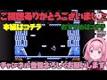 【（cv：アンジュ）シリーズ】【野生のビーダルにつきまとわれるアンジュ】