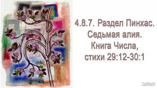 Окончание рассказа о праздничных жертвах и переход к жертвам праздника Суккот. 4.8.7. Раздел Пинхас.