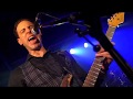 Dan Patlansky - Backbite @ The Borderline