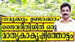 നല്ല ഒരു മാതൃകാ കൃഷിത്തോട്ടം എങ്ങനെ ഉണ്ടാക്കാം | Deepu Ponnappan