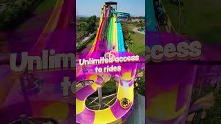 holi video 2025 download mp4