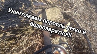 Избавляемся от поросли. как правильно и сколько это стоит