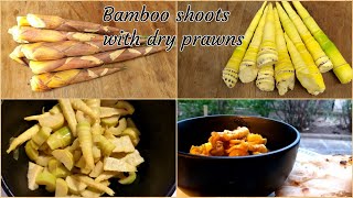 বাঁশ কোড়ল, পাহাড়িদের প্রিয় খাবার, Bamboo shoots.