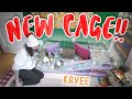 Guinea Pig Cage Set Up & Review : KAVEE CAGES