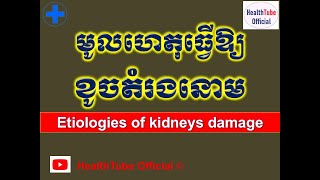 មូលហេតុធ្វើឱ្យ ខូចតំរងនោម l Etiologies of kidneys damage l បញ្ហាខូចតំរងនោម l @healthtubeofficial