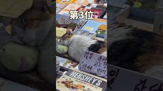 ネコさんの動画見て笑ったら寝ろwwwww