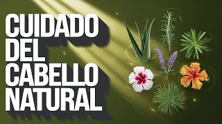 Descubre el Poder de las 5 Plantas Naturales para un Cabello PERFECTO