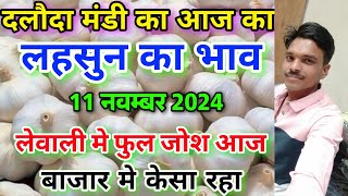 दलौदा मंडी आज का लहसुन का भाव 11 नवम्बर 2024 |garlic rate today daloda mandi