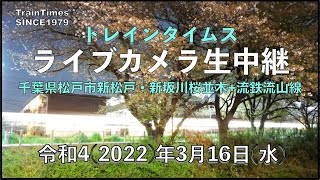 【ライブカメラ】生中継／千葉県松戸市新坂川桜並木／2022年3月16日【桜並木・流鉄流山線リアルタイム配信】