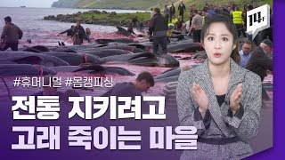 인간과 동물은 공존할 수 있을까? MBC 창사 특집 자연 다큐멘터리 ‘휴머니멀’ / 14F