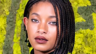 Willow Smith's Media Moments She Will Never Be Able To Escape