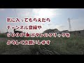 【葛飾区中川】犬の散歩ワンカット撮り 20200819