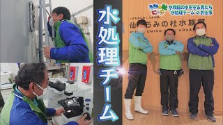 【うみの杜にっき】水を守る男たち！ 大水槽の水質検査を お手伝い！！