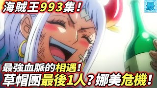 海賊王993集：草帽團第11人？最強血脈的相遇！娜美危機！