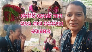 କେମିତି ହେଉଛି ଆମ ଘରେ ଶାଗ ତରକାରୀ ରୋଷେଇ 🥗 | Food cooking vlog video 🍲 | New odia vlogger ushamani singh