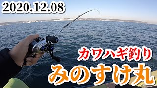 カワハギ釣り🎣巳之助丸 2020.12.8