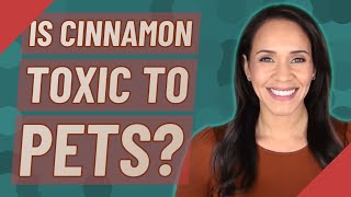 Is cinnamon toxic to pets?