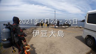 【珠や潜水】伊豆大島 2021.4.24・25