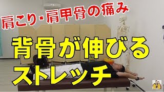 【肩こり・肩甲骨の痛み】背骨が伸びるストレッチ　“大和市中央林間　いえうじ総合治療院”