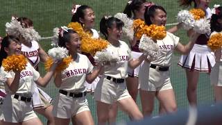 2017年春季リーグ戦東京六大学野球 早慶戦第三戦　早稲田の華麗なダンス