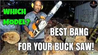 BEST BANG FOR YOUR BUCK CHAINSAW   #STIHL #FIREWOOD