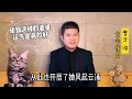 窦漪房突遇变故双目失明，面对妃子挑战，能否成功化解危机？【曾子说古今情史】