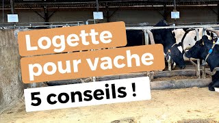 Logette pour vache laitière : 5 conseils !