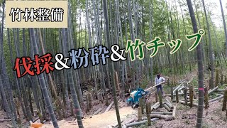 【竹林整備】久しぶりの伐採\u0026粉砕\u0026竹チップ