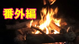 猫連れ冬キャンプ♪2日目Part2番外編【キャンプ猫こむぎ＆だいず】2016.11.13