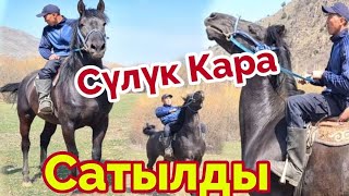 Сүлүк Кара/Самаркандка Кетти🔥