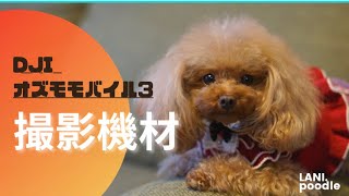 【オズモモバイル3】愛犬のYouTube撮影に使用。携帯用ジンバル《動画機材》