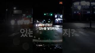 믿고 거르는 천안 버스 기사#shorts