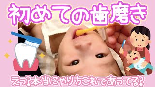 【1歳】初めての歯磨き！下の歯が一本生えてきたから歯ブラシチャレンジ！