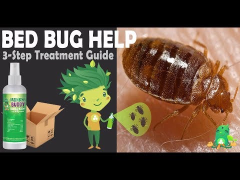 Got Bed Bugs? This Kills Bed Bugs Guaranteed. - YouTube