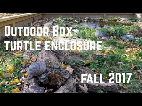 New Outdoor Box Turtle Enclosure- Fall 2017 New Outdoor Box Turtle Enclosure- Fall 2017