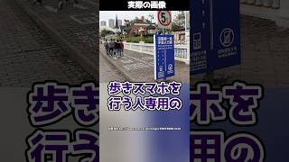 歩道に「歩きスマホ専用」のレーンを設置！？世界各地で実験が試みられた結果…！#shorts