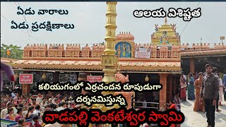 Sri Venkateswara Swamy temple in vadapalli history 7 శనివారాలు 7 ప్రదక్షిణాలు వ్రతం ఎలా చేసుకోవాలి