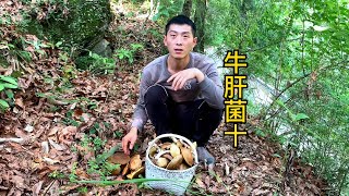 牛肝菌實在太多了，好不容易背了個背篼，居然忘記放哪裡了【川農小韓】