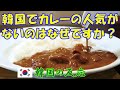 【韓国の反応】韓国でカレーの人気がないのはなぜ？【韓国人の反応・海外の反応】